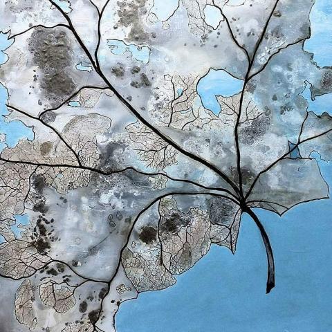 Decaying Wisdom